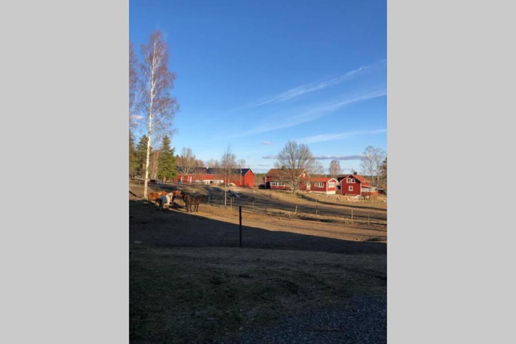 Egen Villa Pa Islandshastgard Riddarhyttan Eksteriør bilde